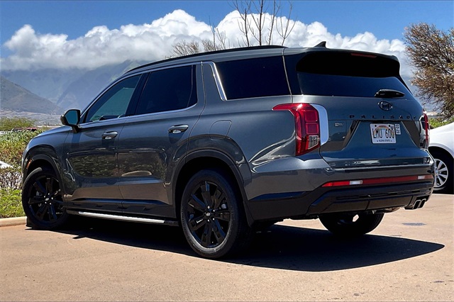 2023 Hyundai Palisade XRT photo 10