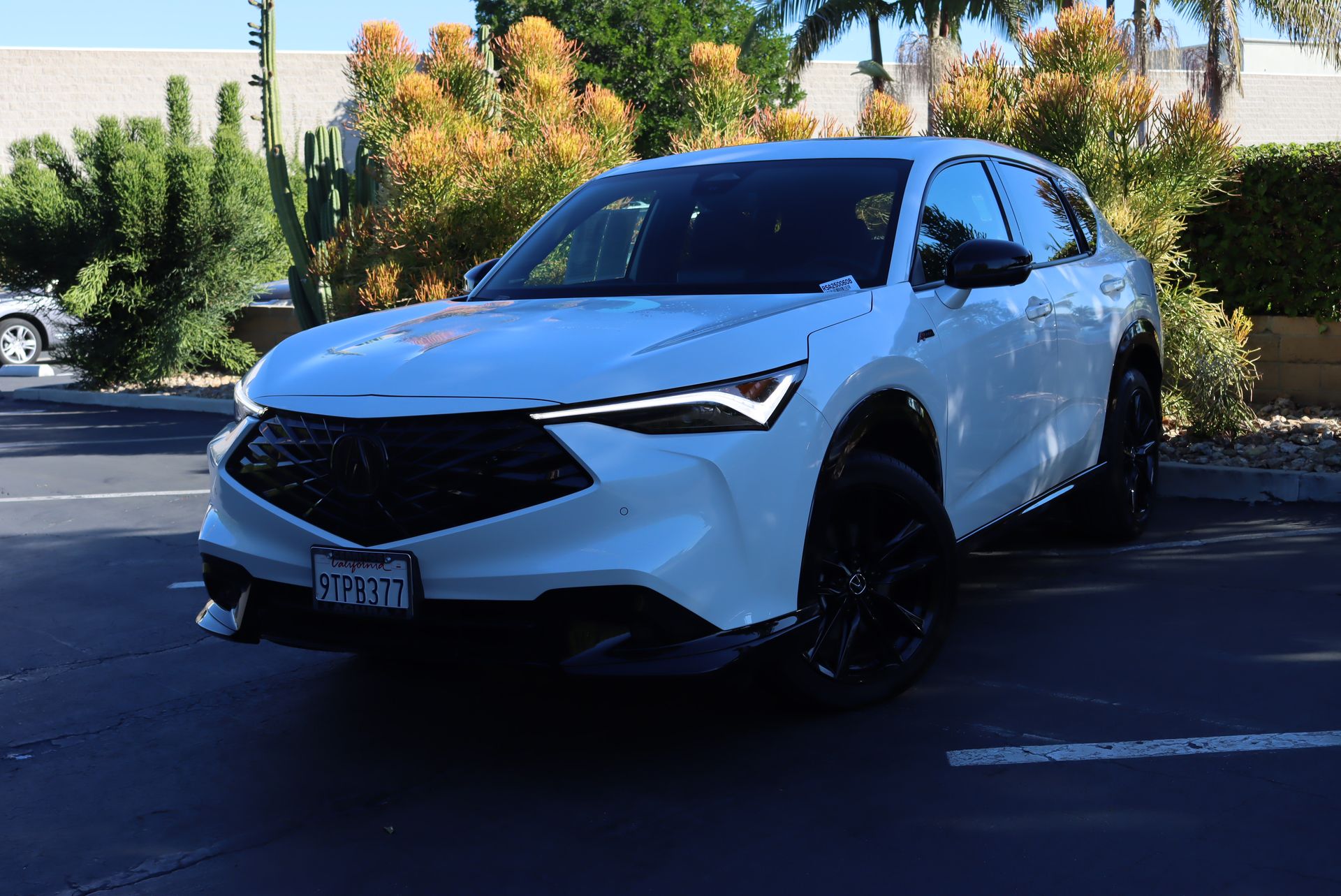 2025 Acura ADX A-spec w/Advance Package's photo