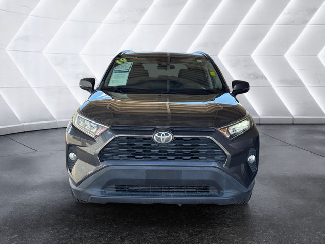 2019 Toyota RAV4 XLE photo 2