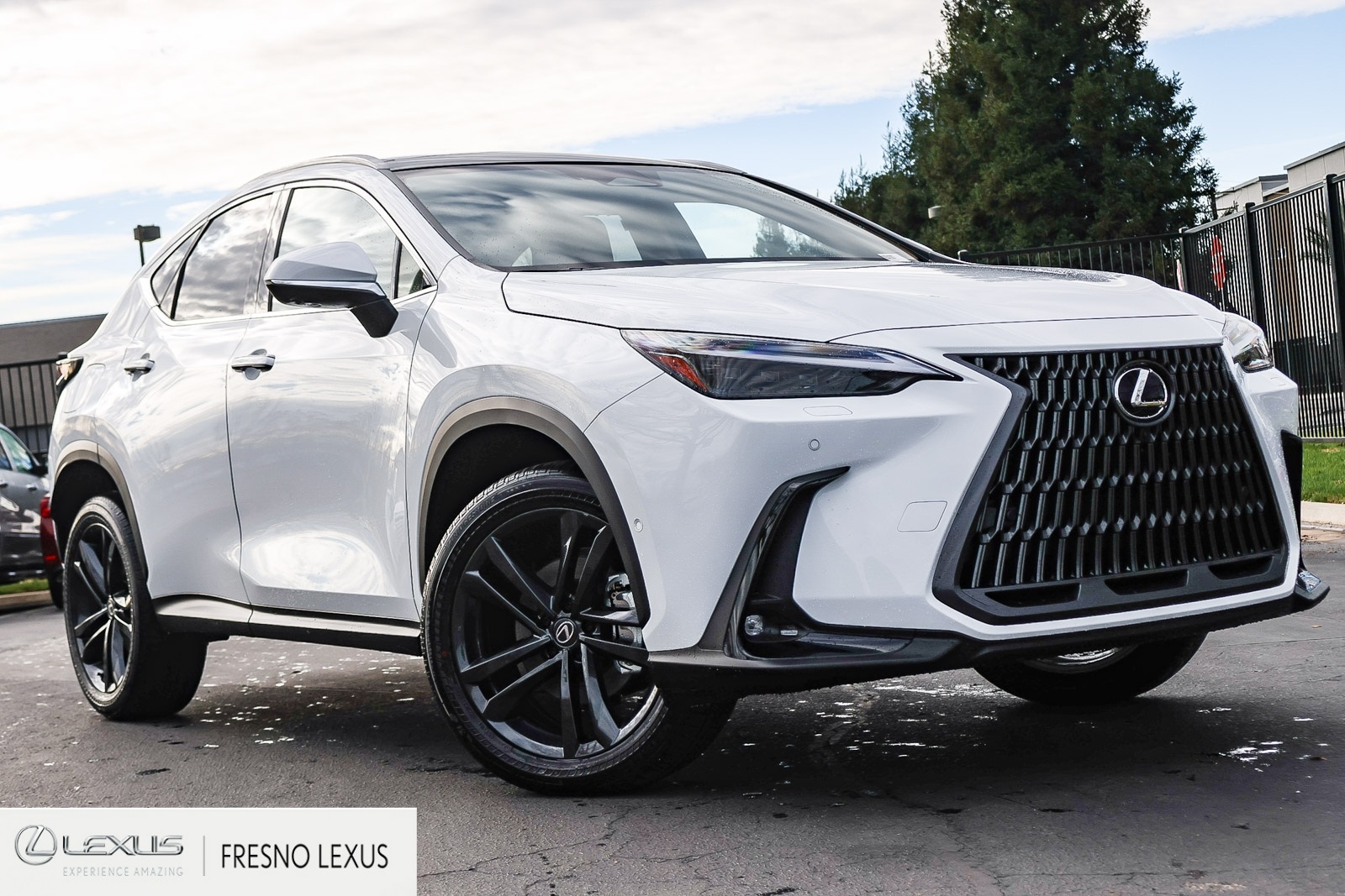 2026 Lexus NX PHEV 450h+'s photo