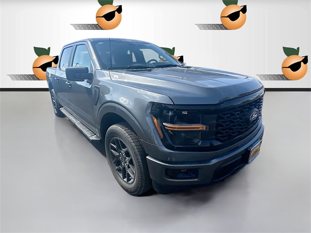 2025 Ford F-150 STX's photo