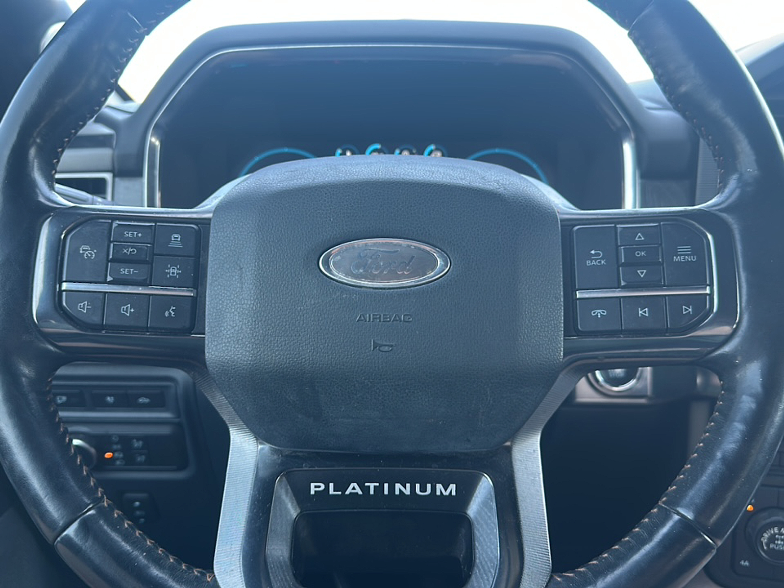 2021 Ford F-150 Platinum photo 9