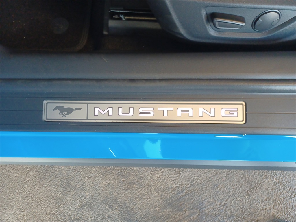 2025 Ford Mustang GT photo 13