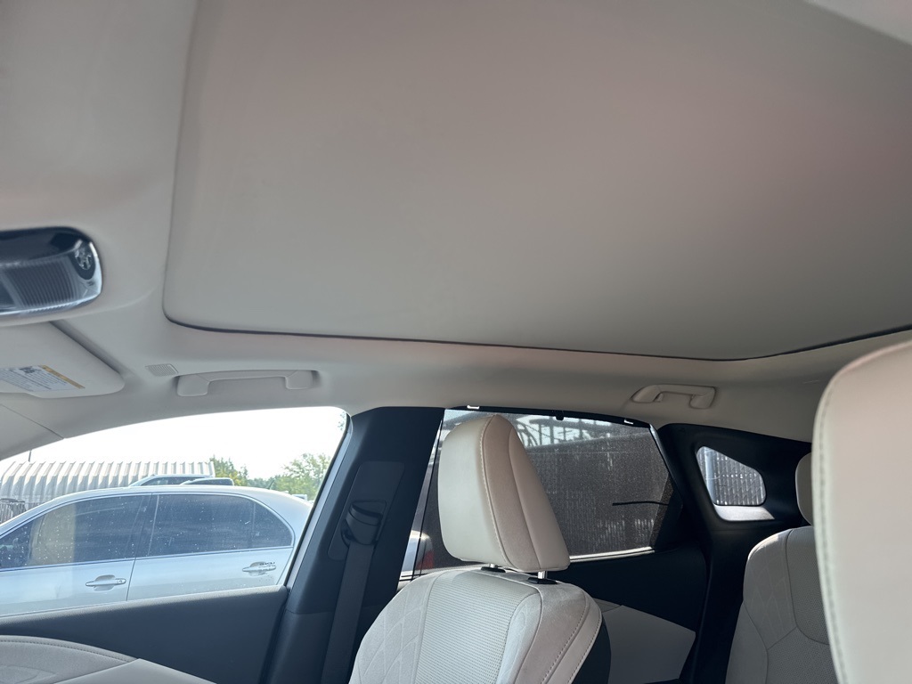 2023 Lexus RX 350 Luxury photo 10