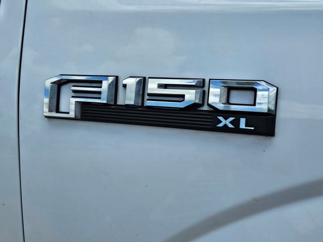 2019 Ford F-150 XL photo 4