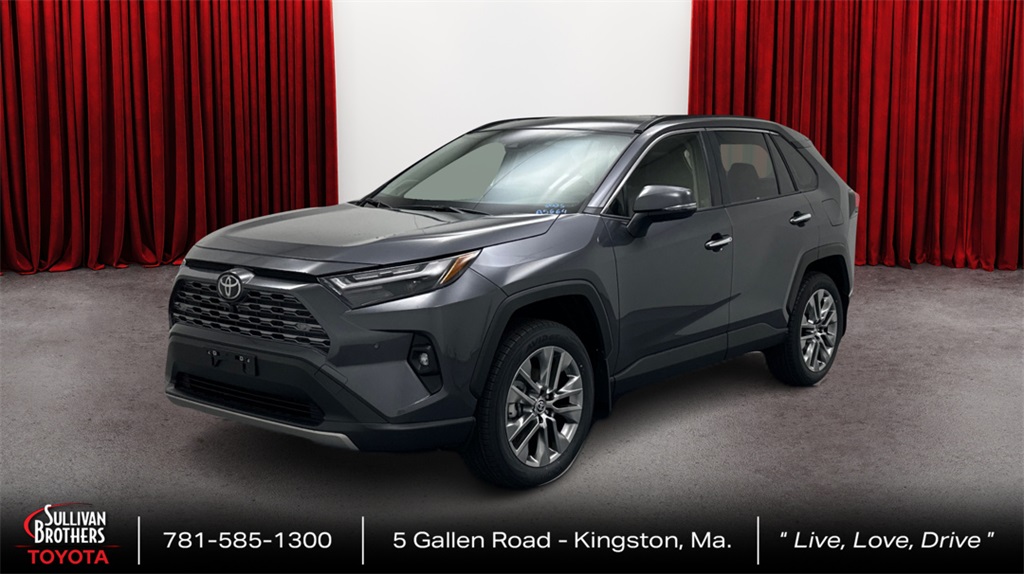 2025 Toyota RAV4 Limited's photo
