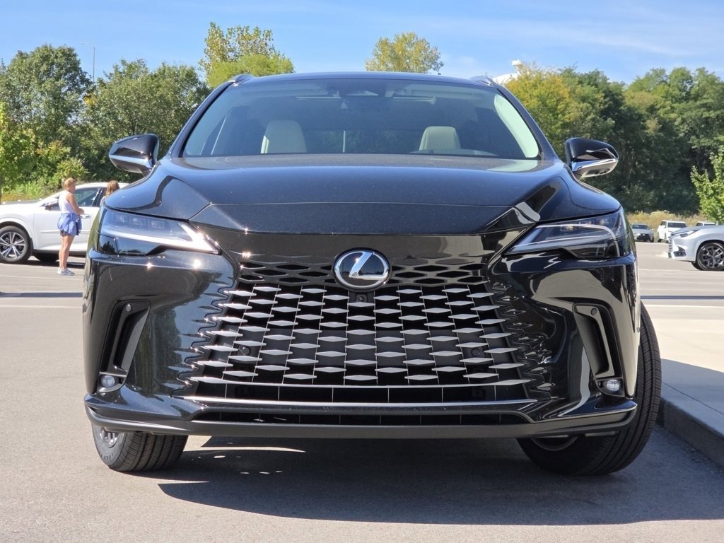 2025 Lexus RX 350 Luxury photo 3