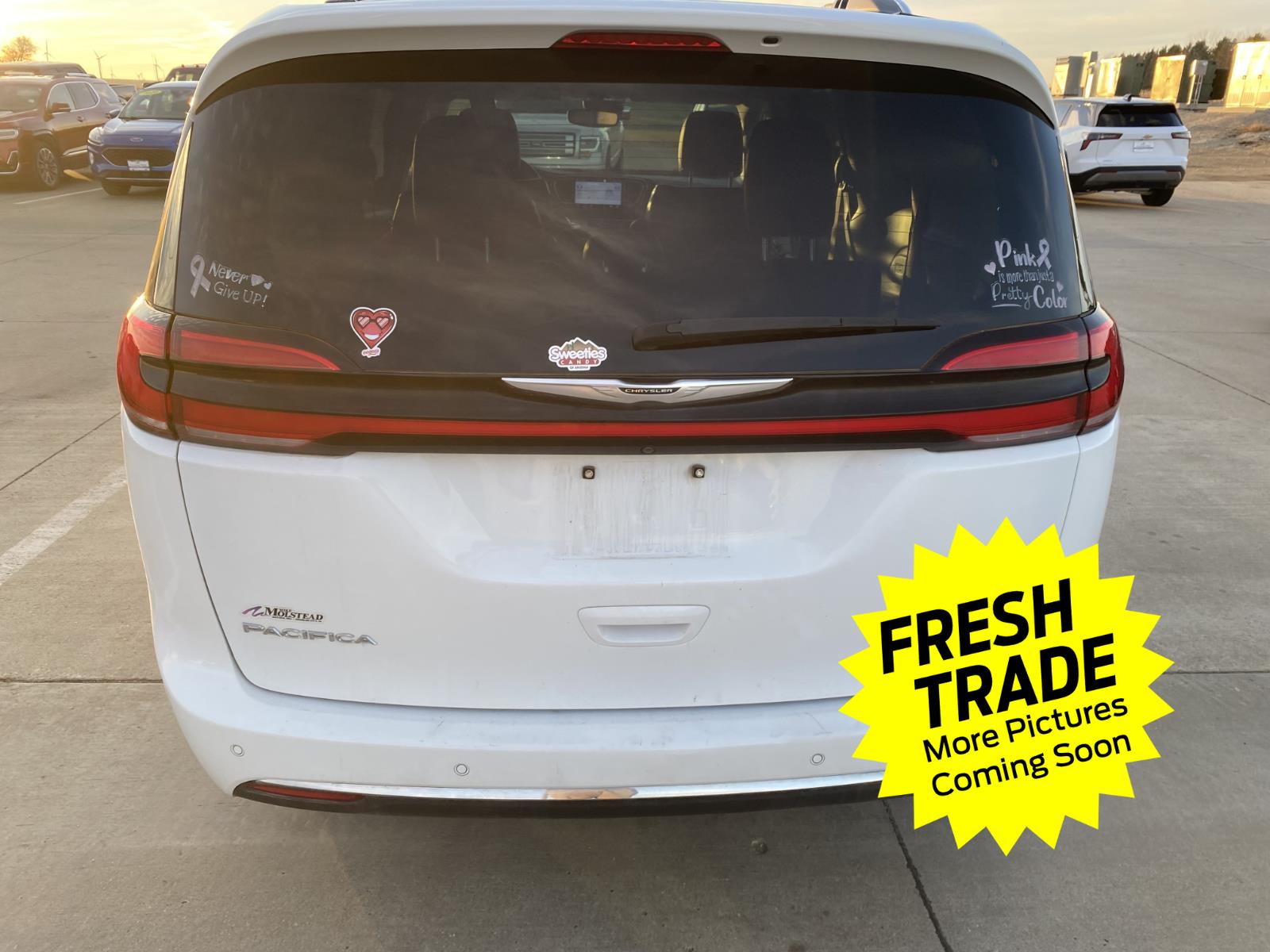 2021 Chrysler Pacifica Touring L photo 2