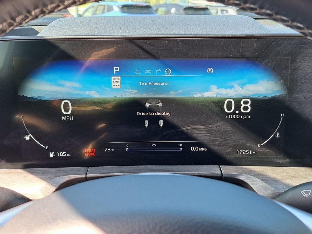 2025 Kia Telluride SX X-Line photo 8