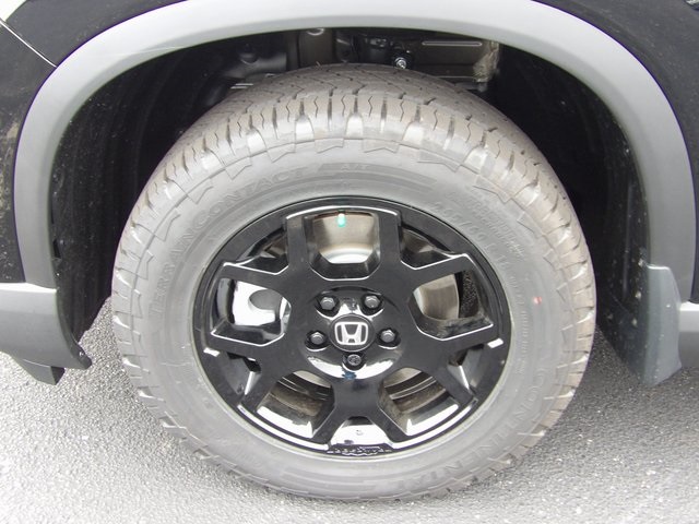 2025 Honda Pilot TrailSport photo 49