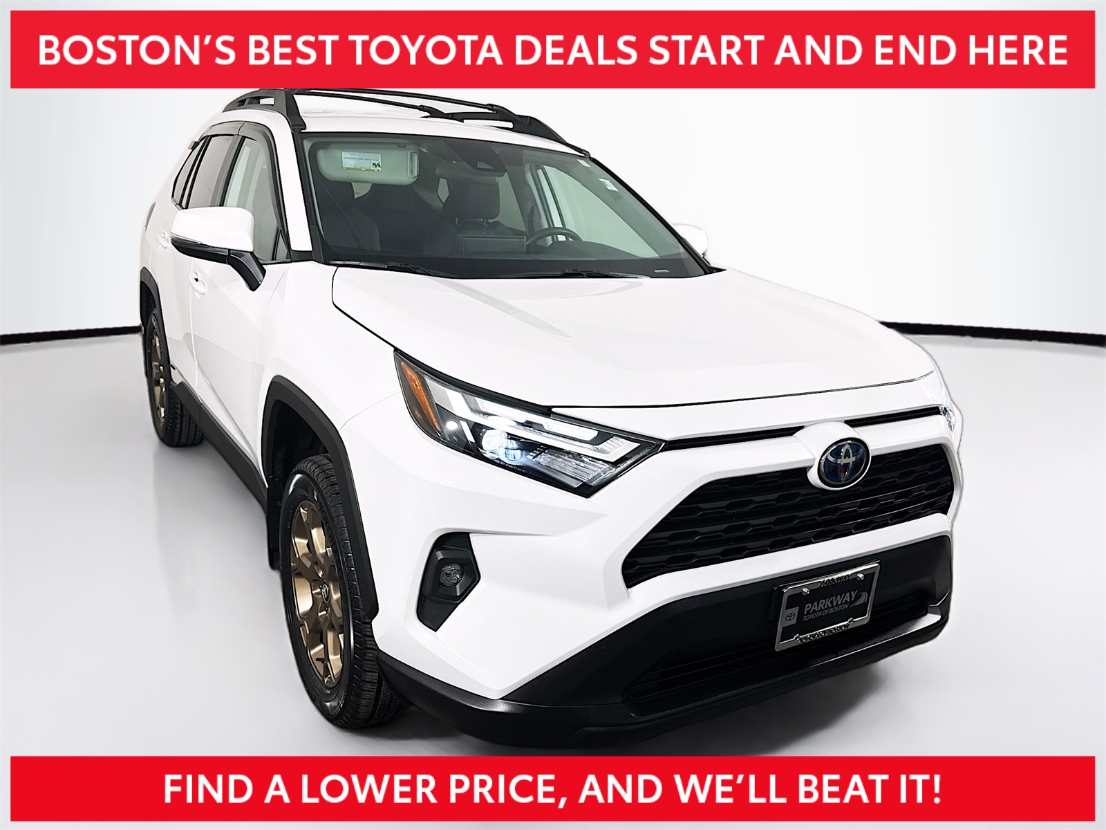 2023 Toyota RAV4 Woodland Edition's photo