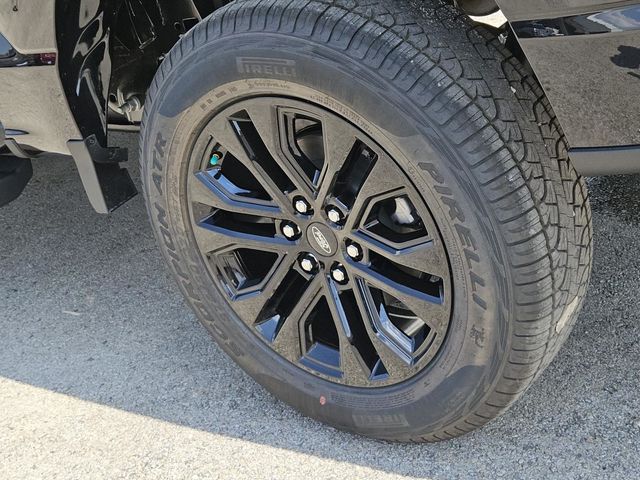 2025 Ford F-150 XLT photo 7