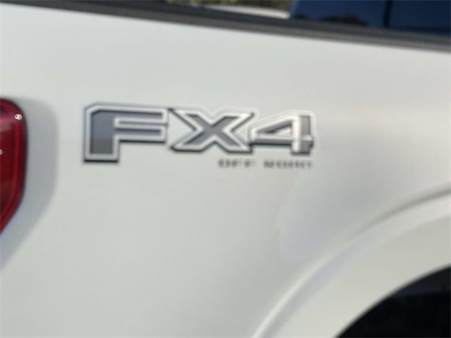 2025 Ford F-150 XLT photo 3