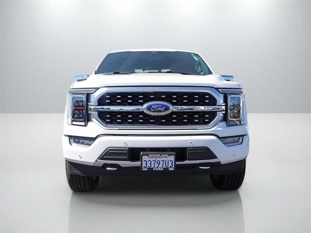 2023 Ford F-150 Platinum photo 2