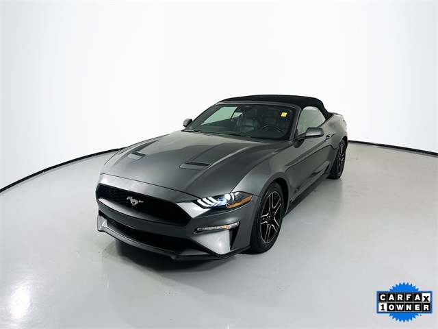 2023 Ford Mustang EcoBoost Premium photo 4