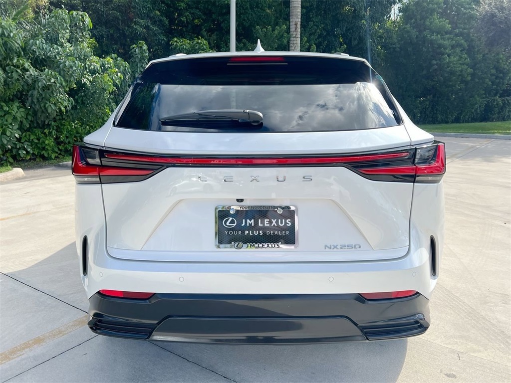 2025 Lexus NX 250 photo 2