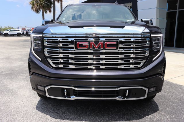 2025 Gmc Sierra 1500 Denali photo 3