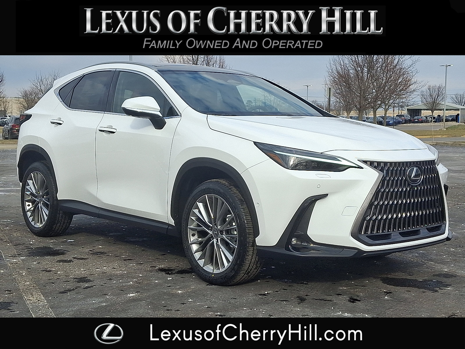 2026 Lexus NX 350's photo