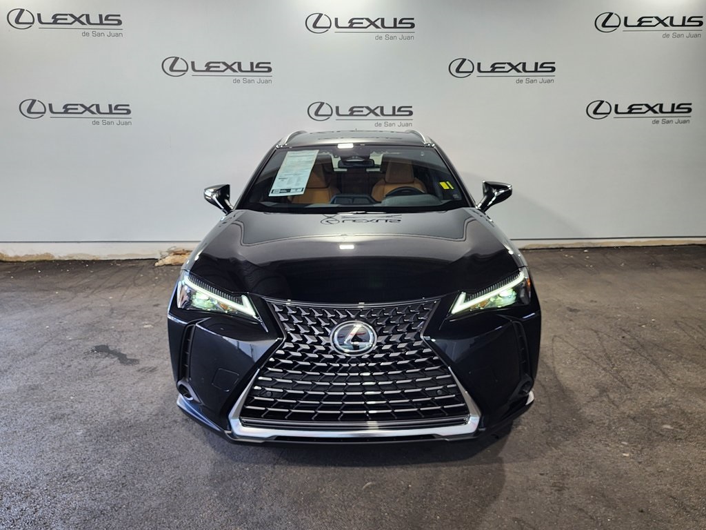 2025 Lexus UX photo 2