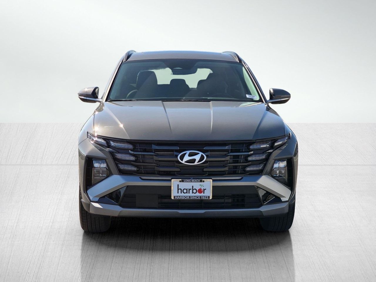 2025 Hyundai Tucson SEL Convenience photo 2