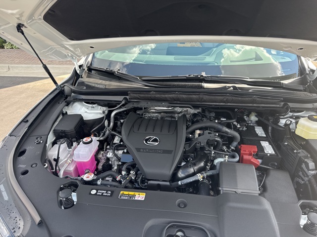 2025 Lexus RX 350 Premium photo 40