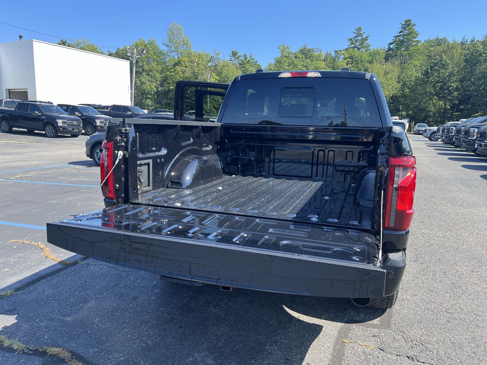 2025 Ford F-150 XLT photo 2