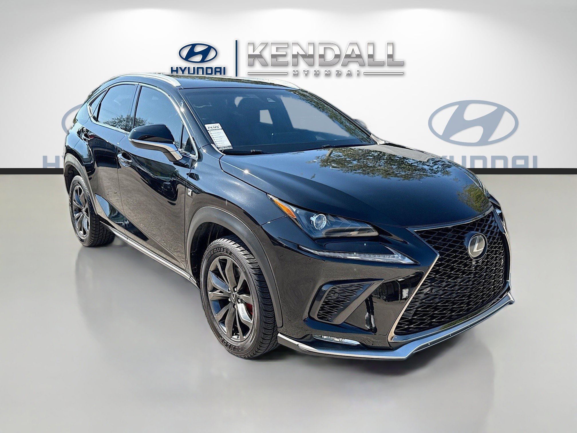 2018 Lexus NX 300 F SPORT's photo