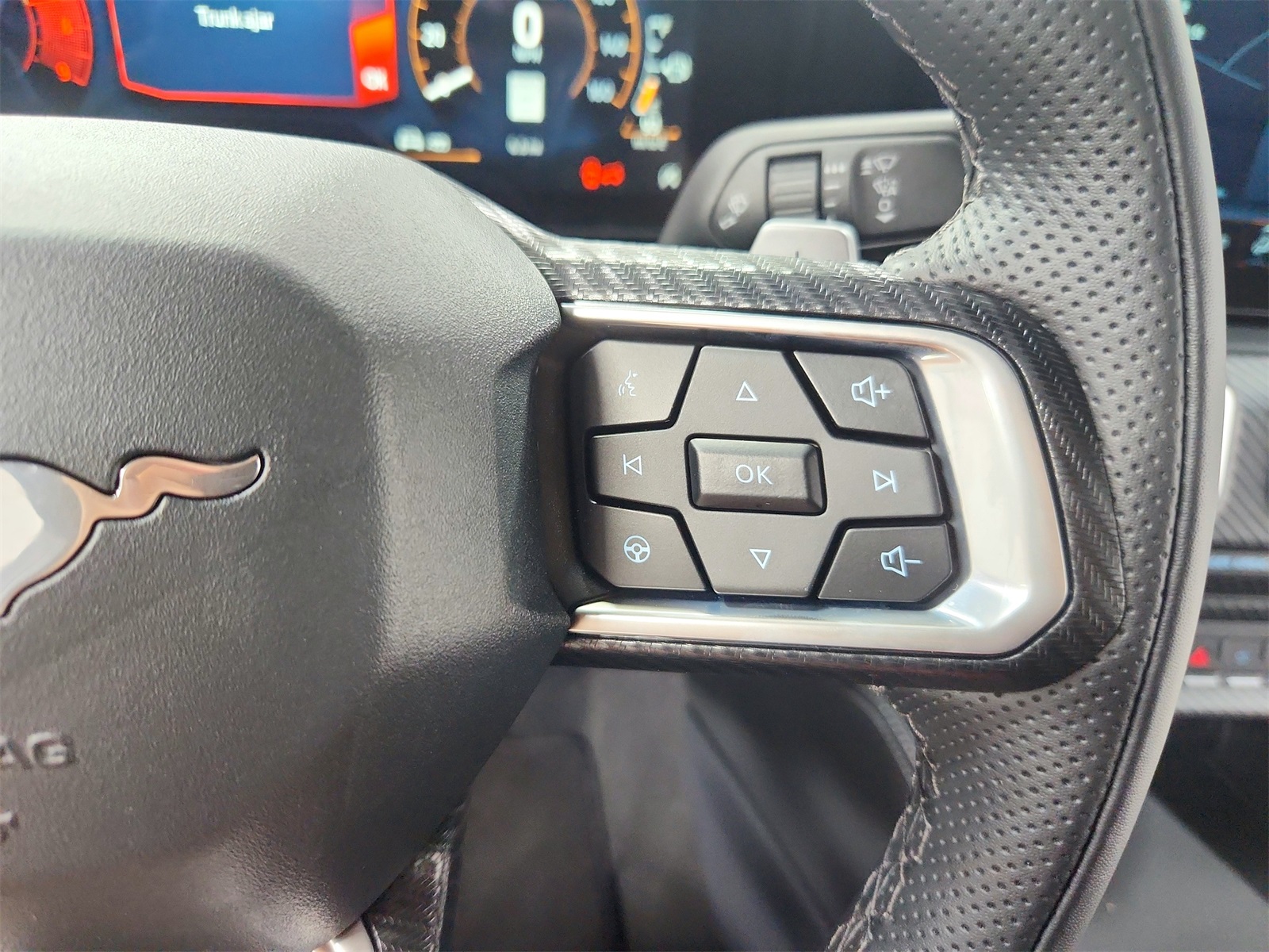 2025 Ford Mustang GT Premium photo 24
