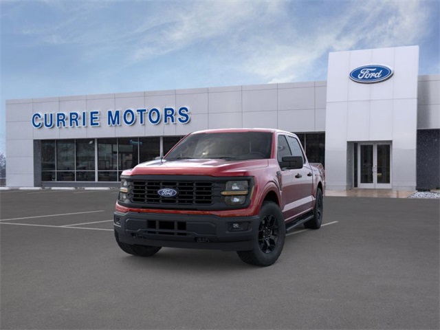2025 FORD F-150 - Image 24