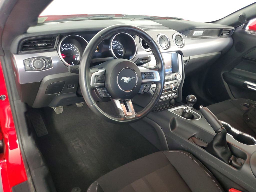 2019 Ford Mustang GT photo 14
