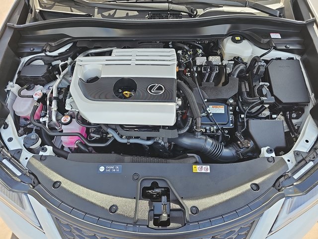 2024 Lexus UX 250h F SPORT Design photo 30