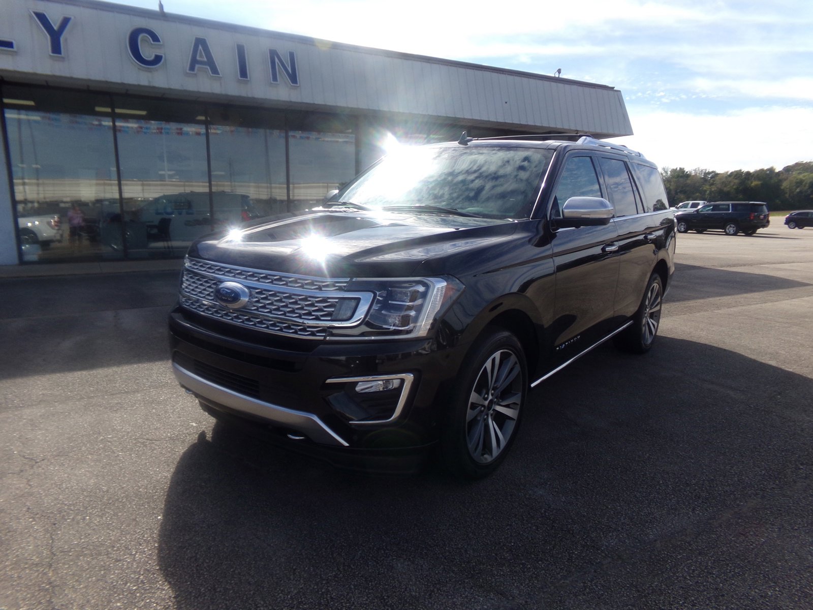 2021 Ford Expedition Platinum photo 3