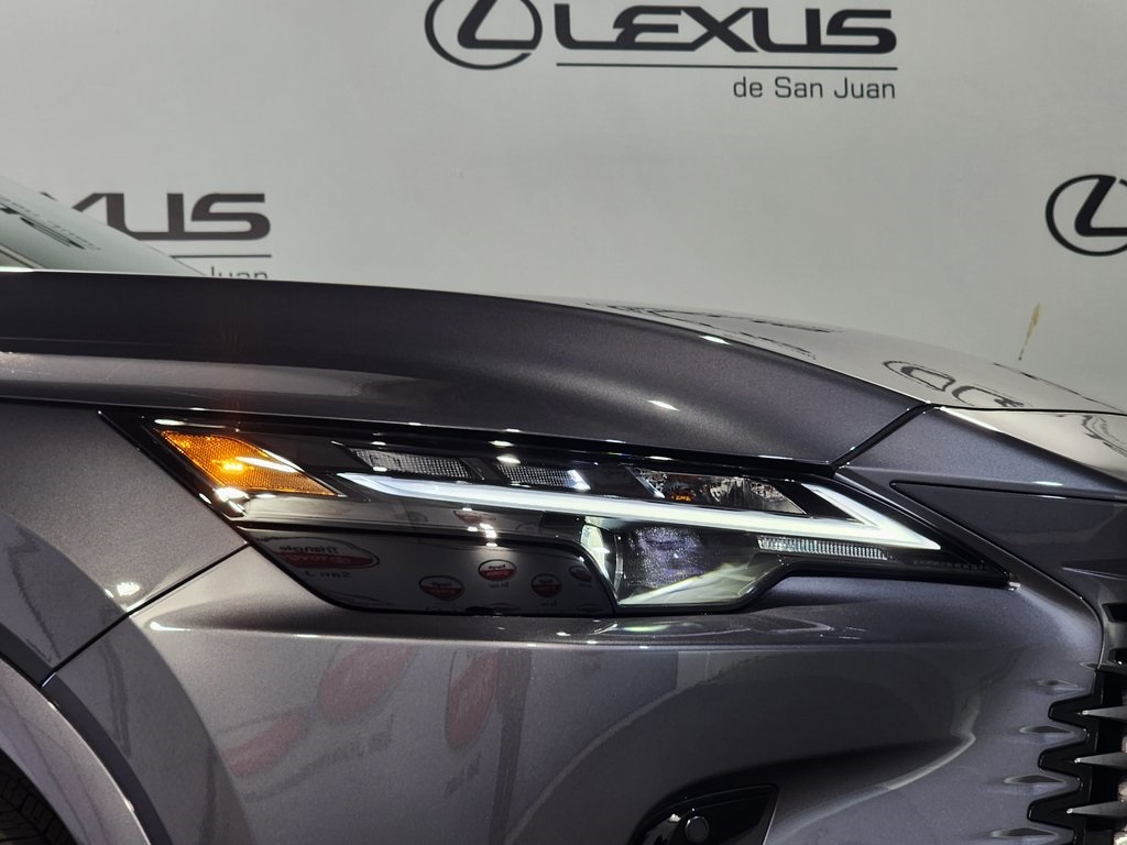 2025 Lexus RX 350 photo 5