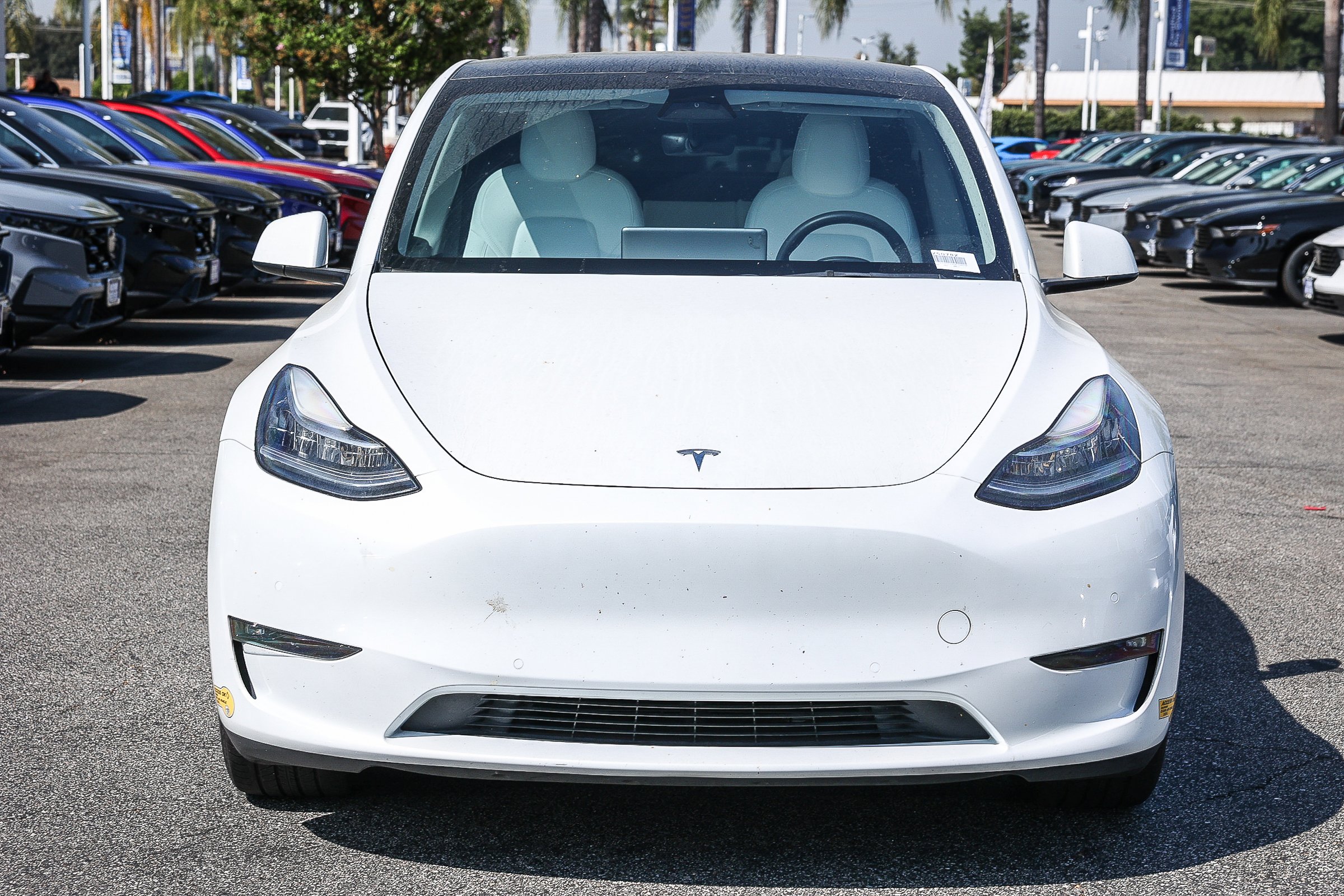 Used 2022 Tesla Model Y Long Range with VIN 7SAYGDEE8NF488958 for sale in Northfield, Minnesota
