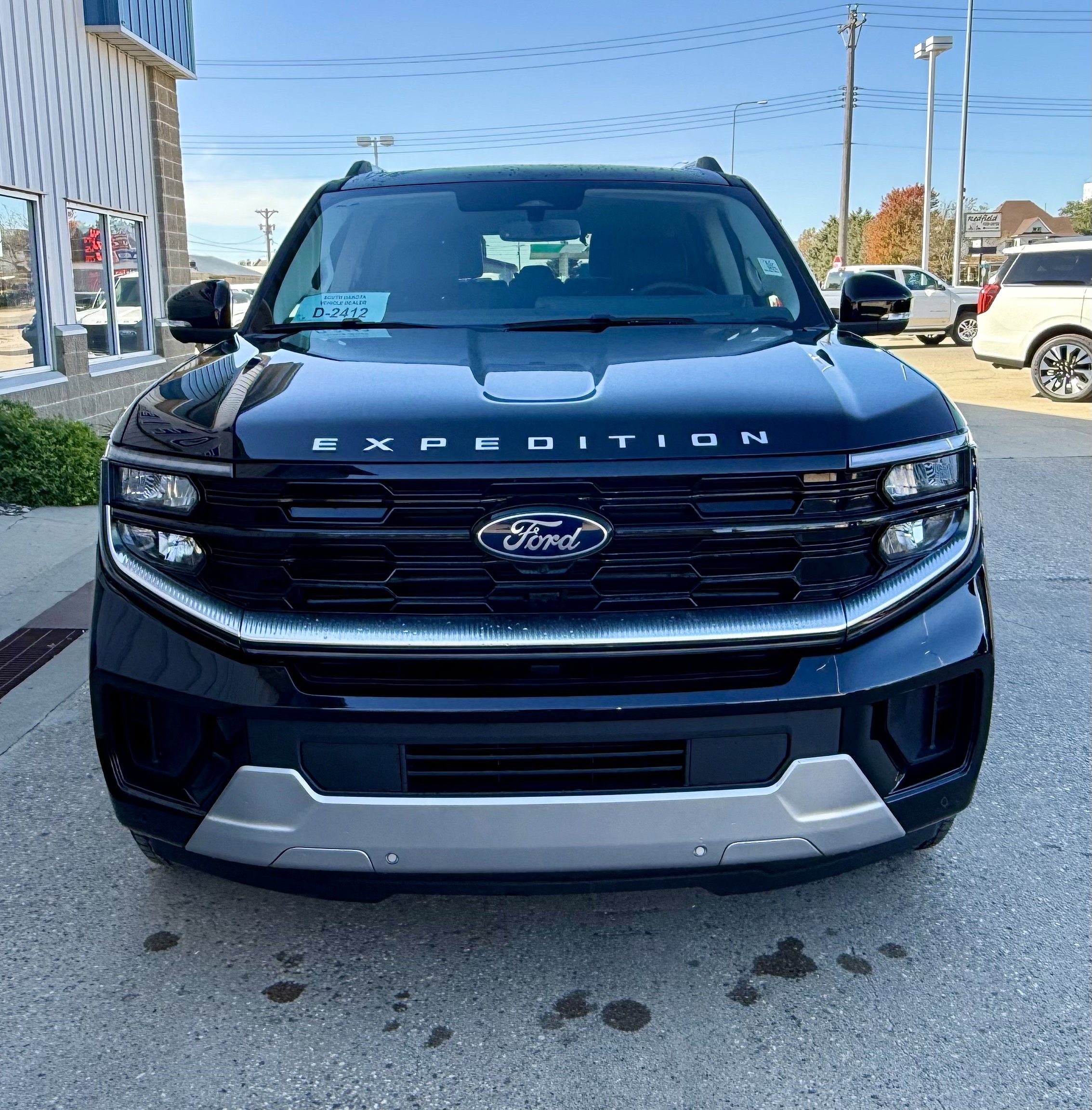 2025 Ford Expedition Platinum photo 4