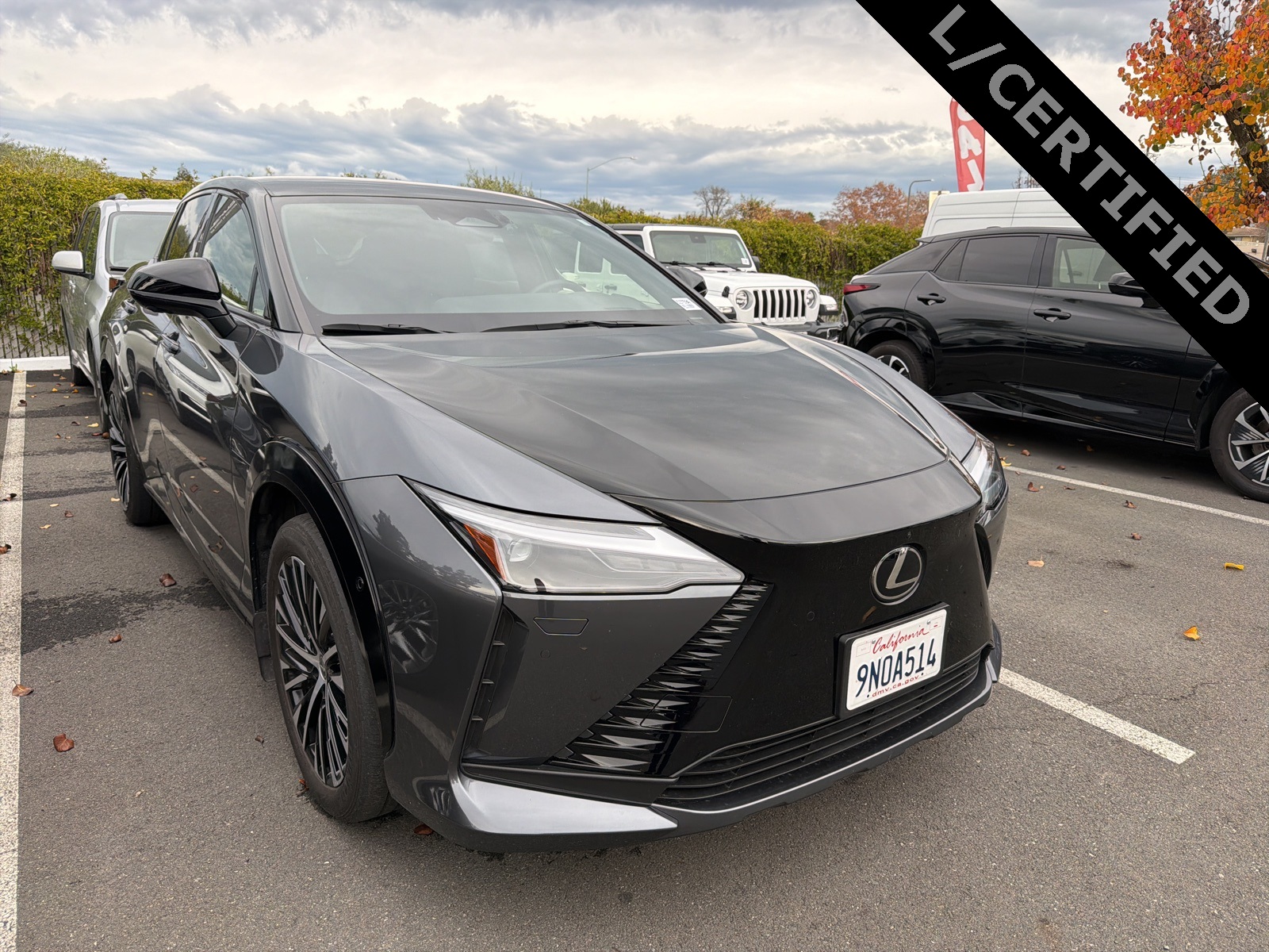 2024 Lexus RZ Premium's photo