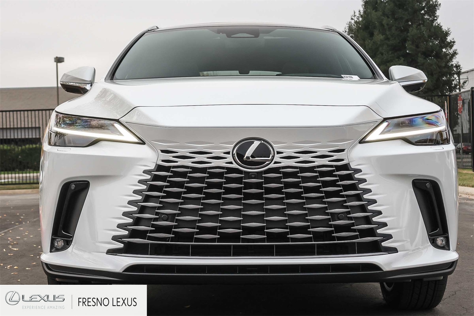2026 Lexus RX 350h Luxury AWD photo 2