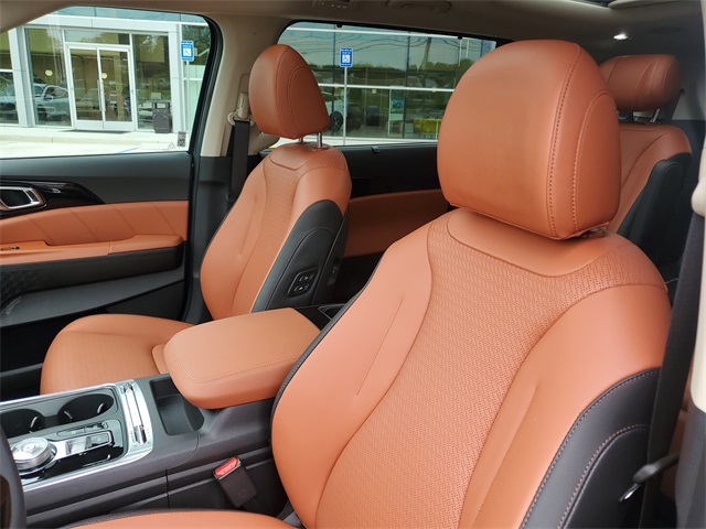 2025 Kia Carnival SX Prestige photo 19