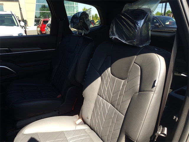 2025 Kia Telluride X-Line photo 10