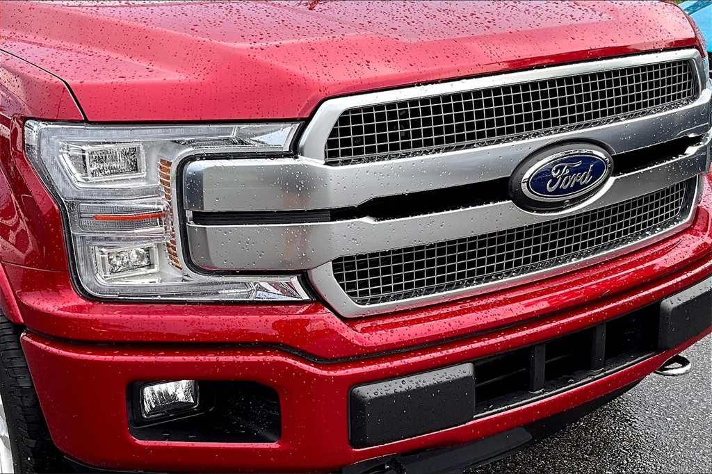 2020 Ford F-150 Platinum photo 33