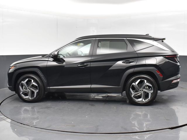 2024 Hyundai Tucson SEL Convenience photo 11