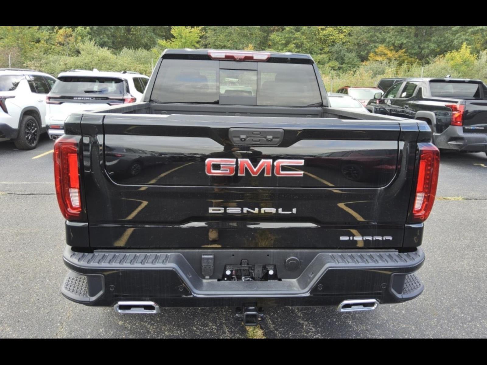 2025 Gmc Sierra 1500 Denali photo 3