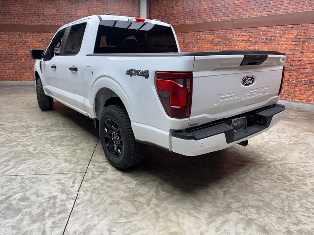 2025 Ford F-150 STX photo 3