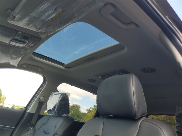 2025 Kia Telluride X-Line EX X-Pro photo 18