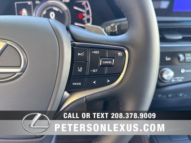 2025 Lexus ES 300h photo 24