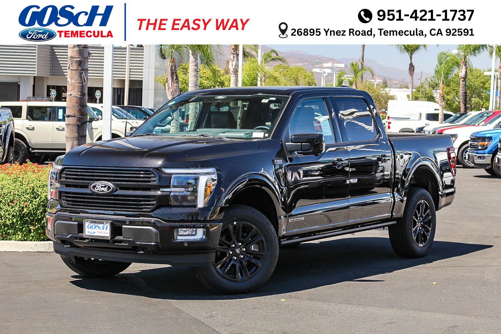2025 Ford F-150 Platinum's photo