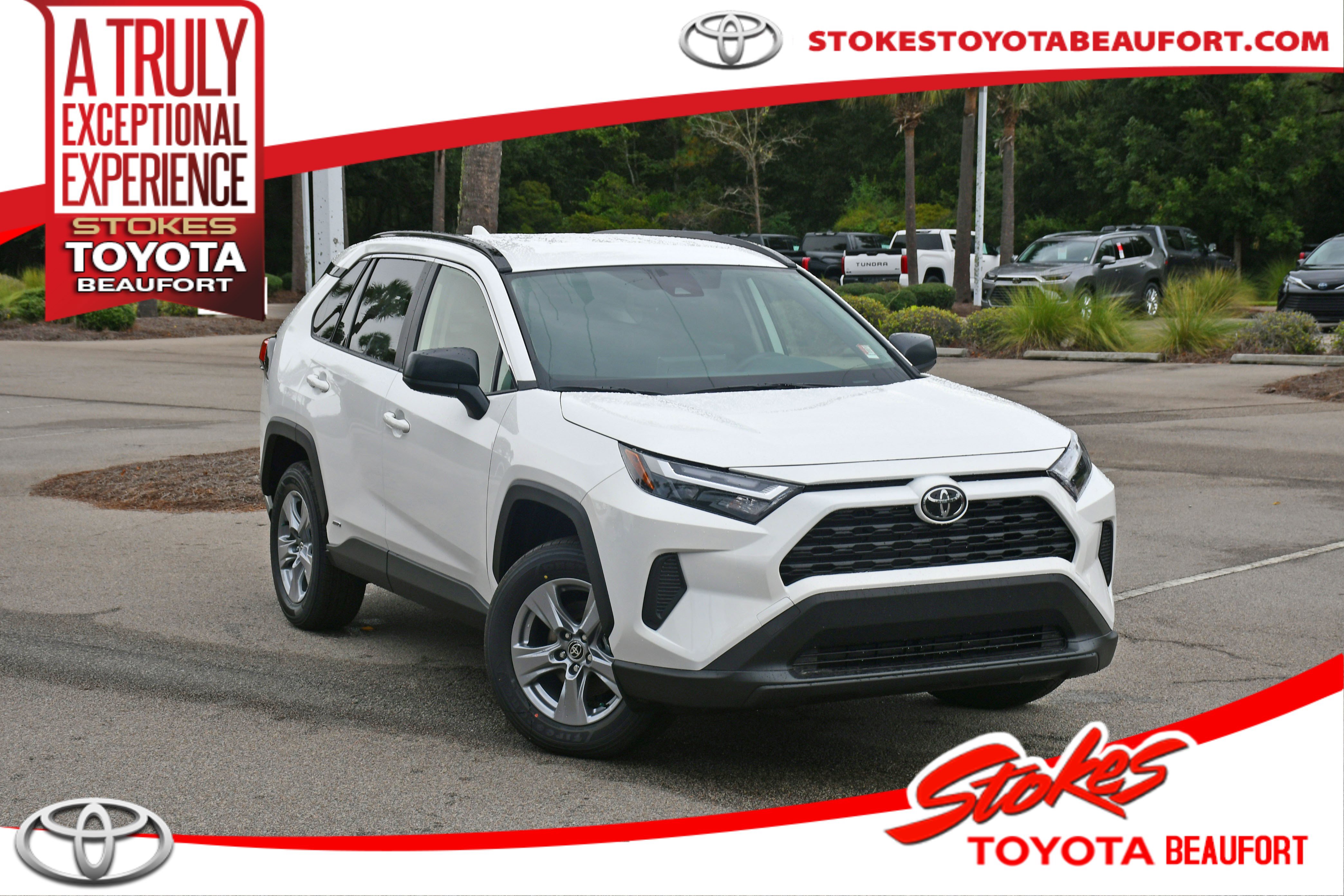 2025 Toyota RAV4 LE's photo