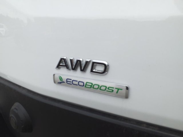 New 2024 Oxford White Ford Base image 28