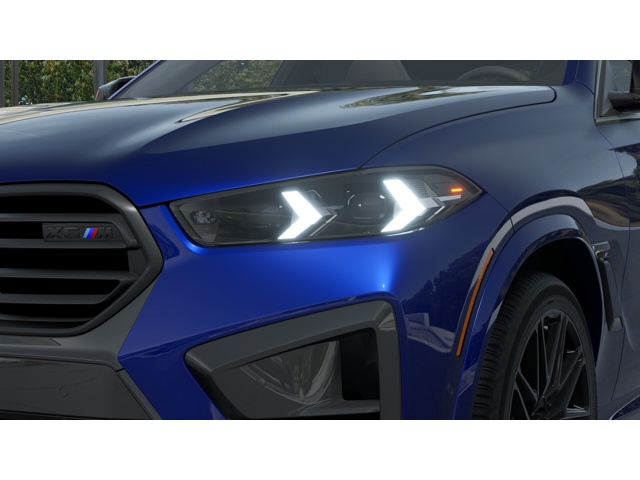 2026 Bmw X6 photo 6