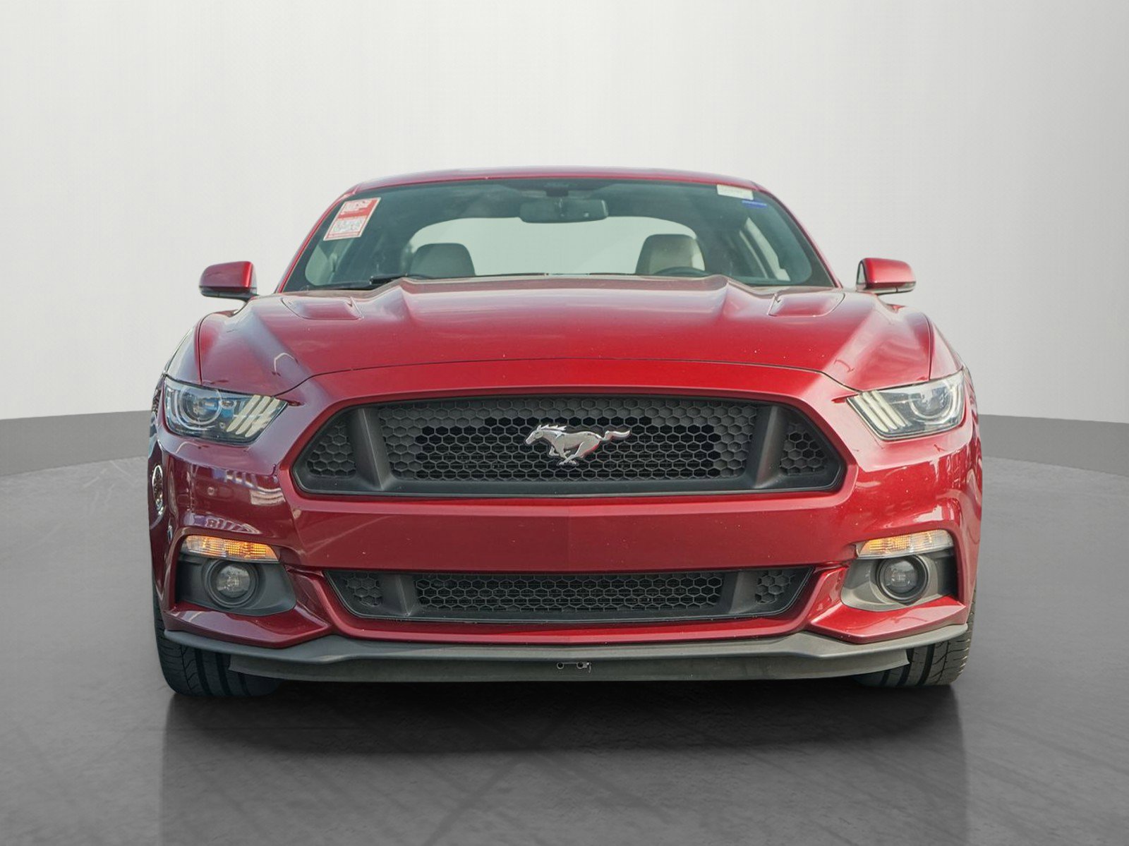 Used 2015 Ford Mustang GT Premium with VIN 1FA6P8CF0F5340965 for sale in Minneapolis, Minnesota